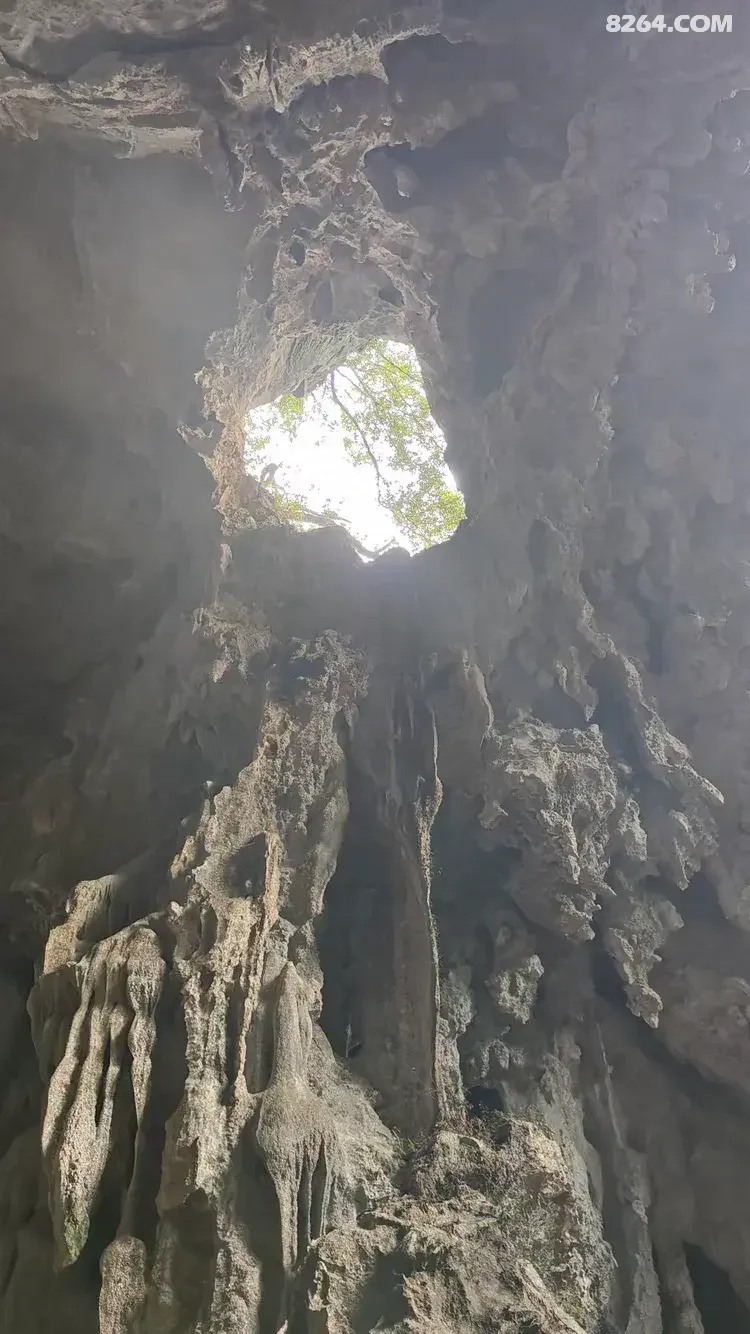 1790745495799 - 徒步登山 穿越攀岩 雪山步道 户外路线 在野 去没有天花板的地方