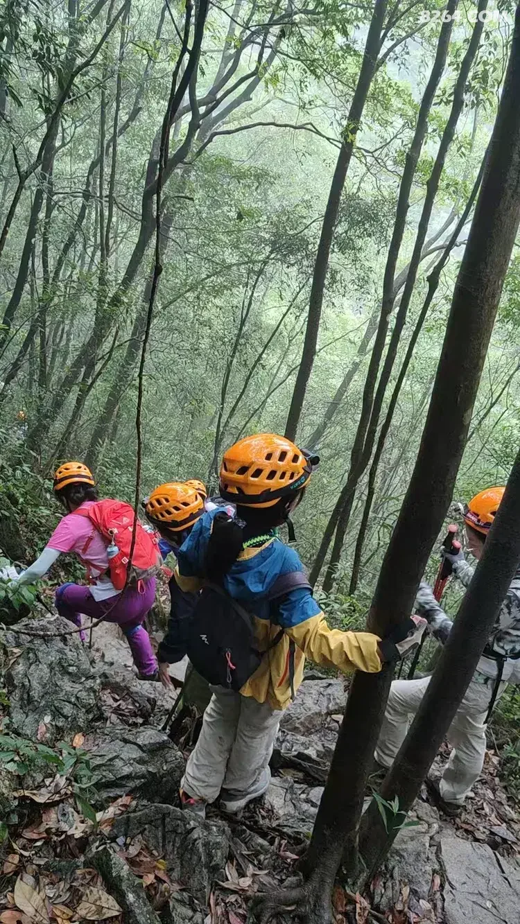 1790745500962 - 徒步登山 穿越攀岩 雪山步道 户外路线 在野 去没有天花板的地方