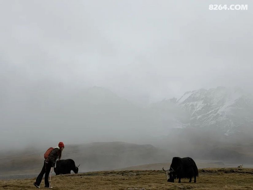 1791444565480 - 徒步登山 穿越攀岩 雪山步道 户外路线 在野 去没有天花板的地方