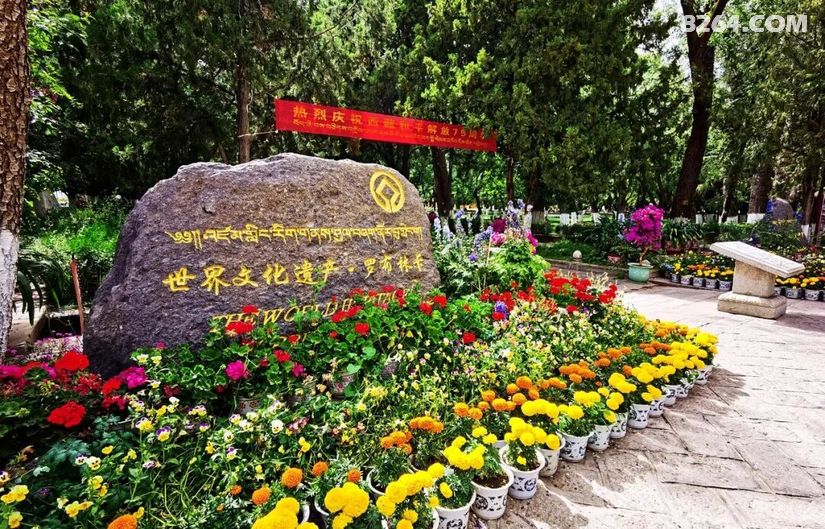1791528898386 - 旅行杂谈 文化历史 民俗人文 交通贴士 在野 去没有天花板的地方