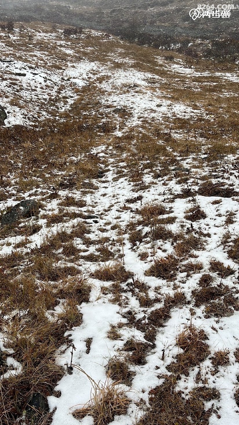 1791604617783 - 徒步登山 穿越攀岩 雪山步道 户外路线 在野 去没有天花板的地方