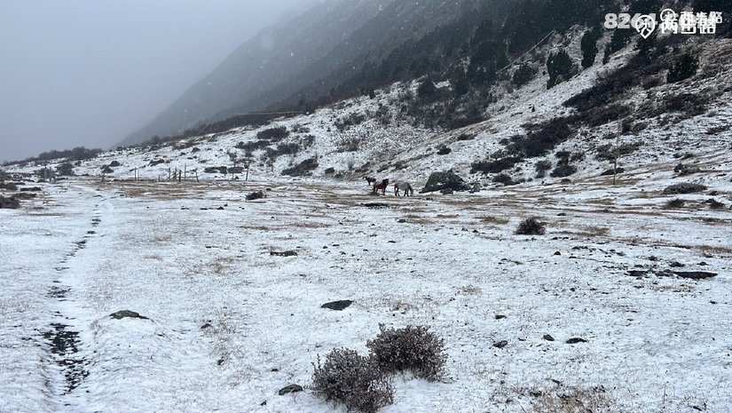 1791604618766 - 徒步登山 穿越攀岩 雪山步道 户外路线 在野 去没有天花板的地方