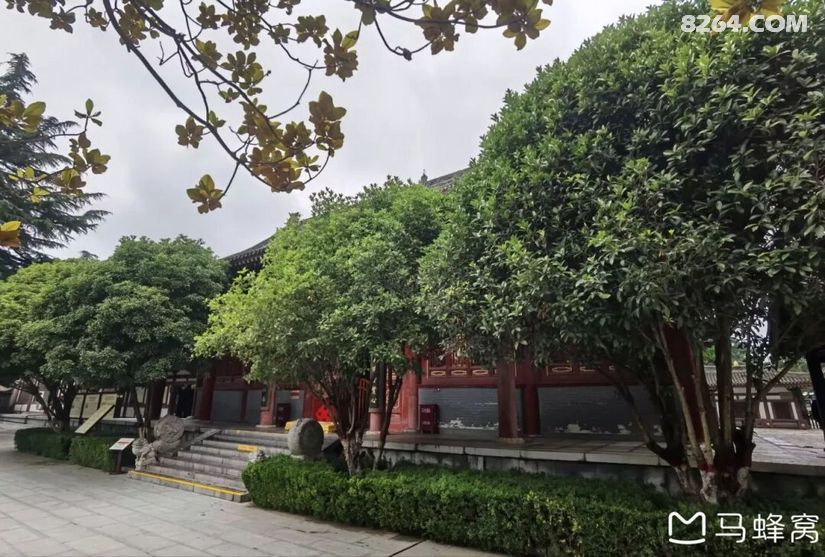 1791609244653 - 旅行杂谈 文化历史 民俗人文 交通贴士 在野 去没有天花板的地方