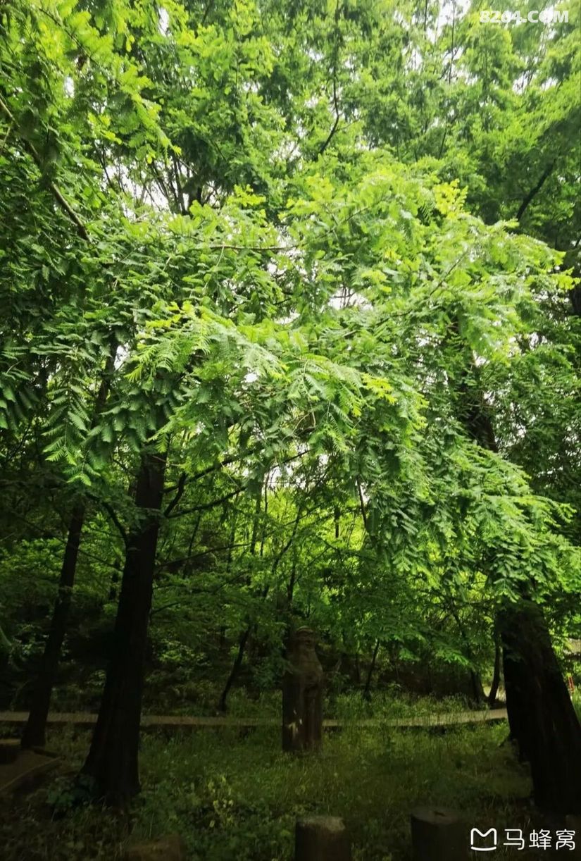 1791609339560 - 旅行杂谈 文化历史 民俗人文 交通贴士 在野 去没有天花板的地方