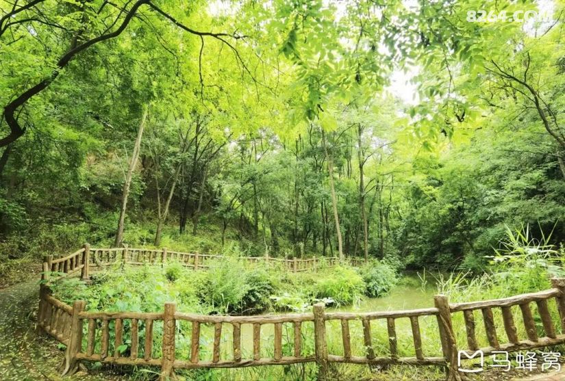 1791609343486 - 旅行杂谈 文化历史 民俗人文 交通贴士 在野 去没有天花板的地方