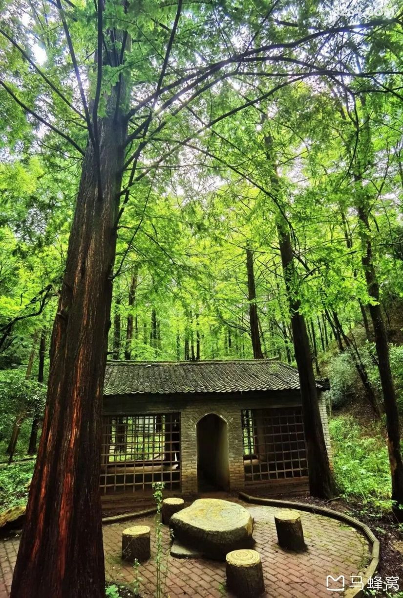 1791609346963 - 旅行杂谈 文化历史 民俗人文 交通贴士 在野 去没有天花板的地方