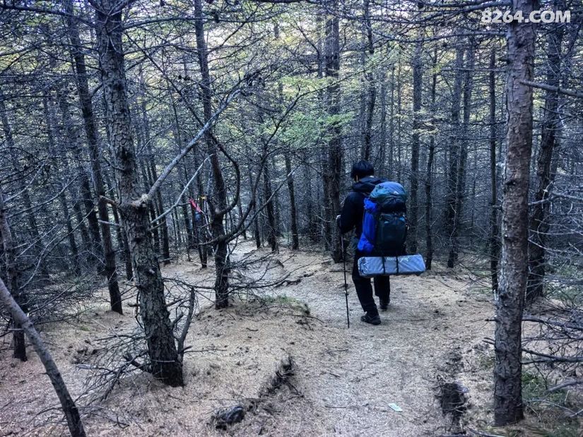 1791614398214 - 徒步登山 穿越攀岩 雪山步道 户外路线 在野 去没有天花板的地方