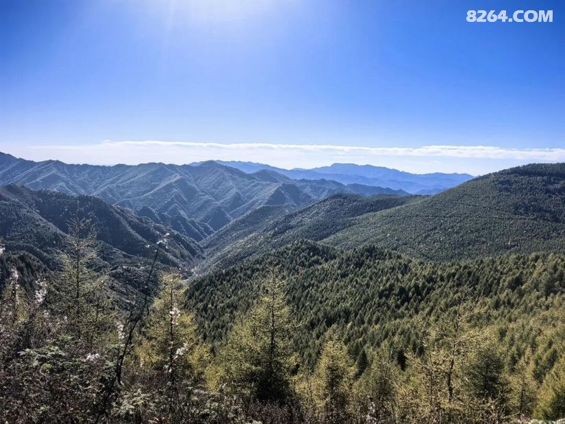 1791614400403 - 徒步登山 穿越攀岩 雪山步道 户外路线 在野 去没有天花板的地方