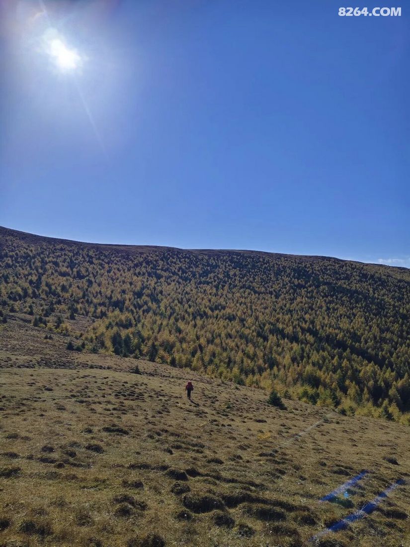 1791614423879 - 徒步登山 穿越攀岩 雪山步道 户外路线 在野 去没有天花板的地方