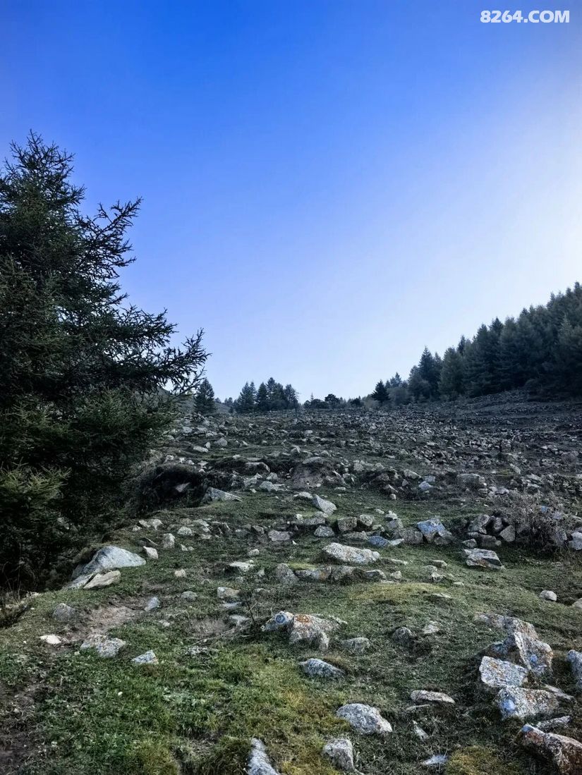1791614432897 - 徒步登山 穿越攀岩 雪山步道 户外路线 在野 去没有天花板的地方