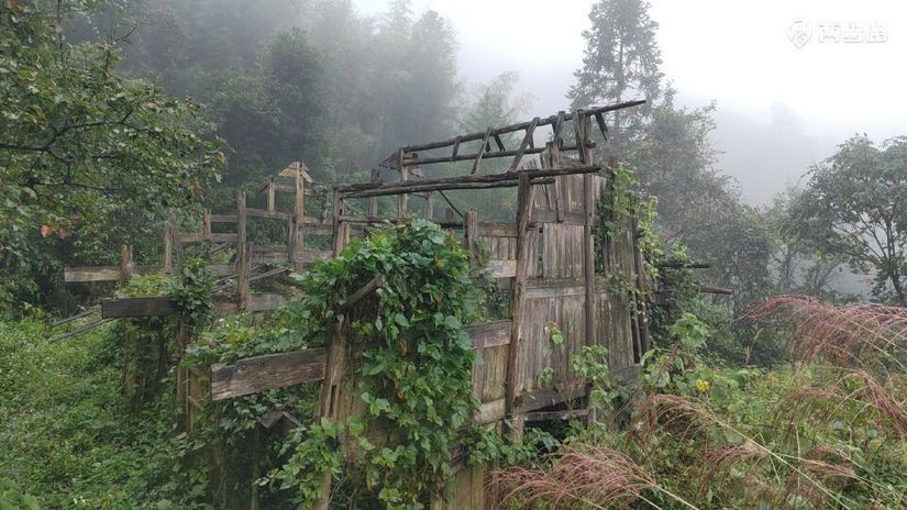 1791947524561 - 徒步登山 穿越攀岩 雪山步道 户外路线 在野 去没有天花板的地方