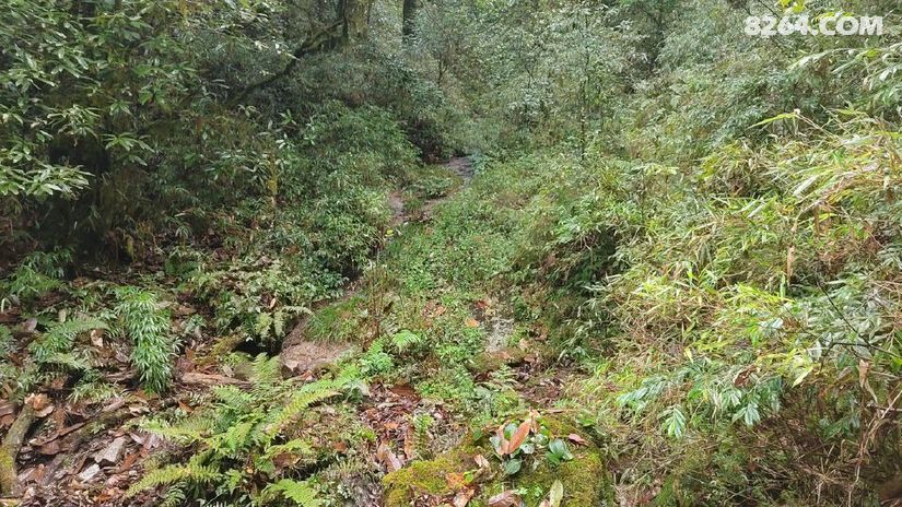 1791947788730 - 徒步登山 穿越攀岩 雪山步道 户外路线 在野 去没有天花板的地方