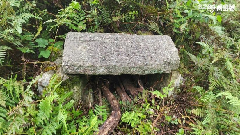 1791947793214 - 徒步登山 穿越攀岩 雪山步道 户外路线 在野 去没有天花板的地方