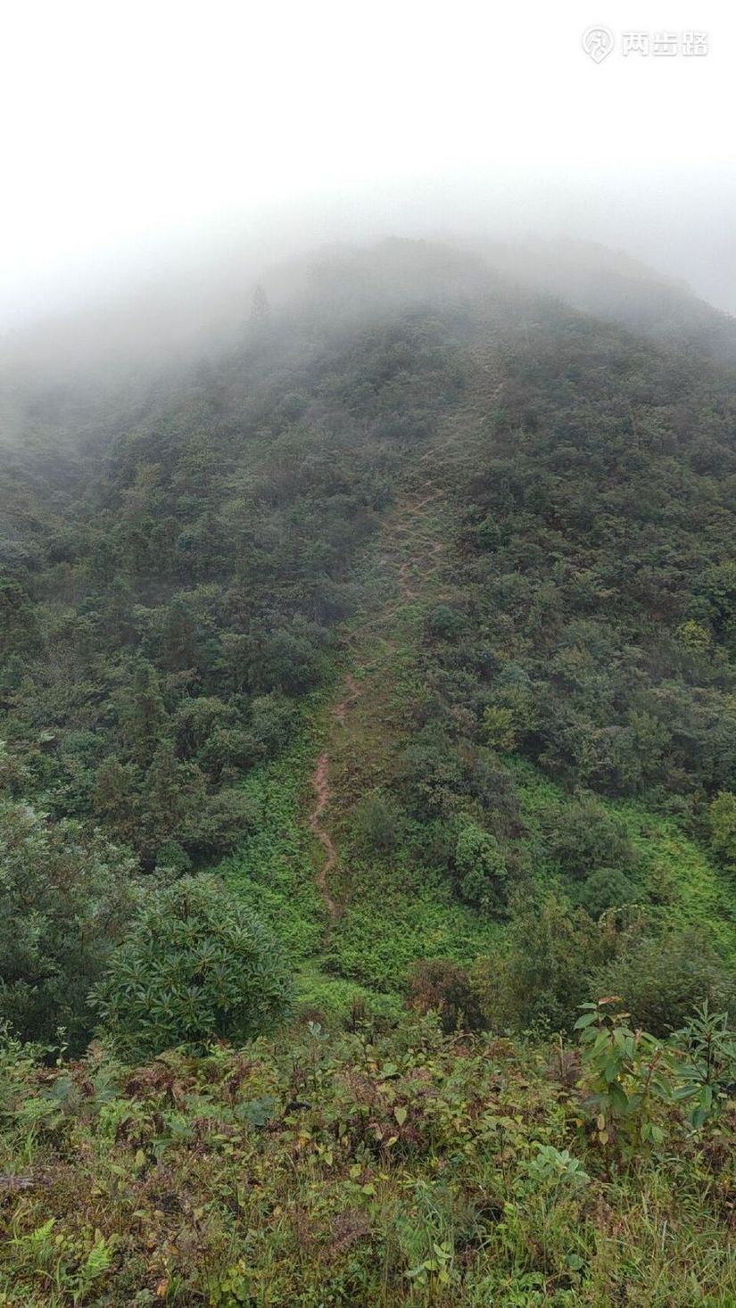 1791947794214 - 徒步登山 穿越攀岩 雪山步道 户外路线 在野 去没有天花板的地方