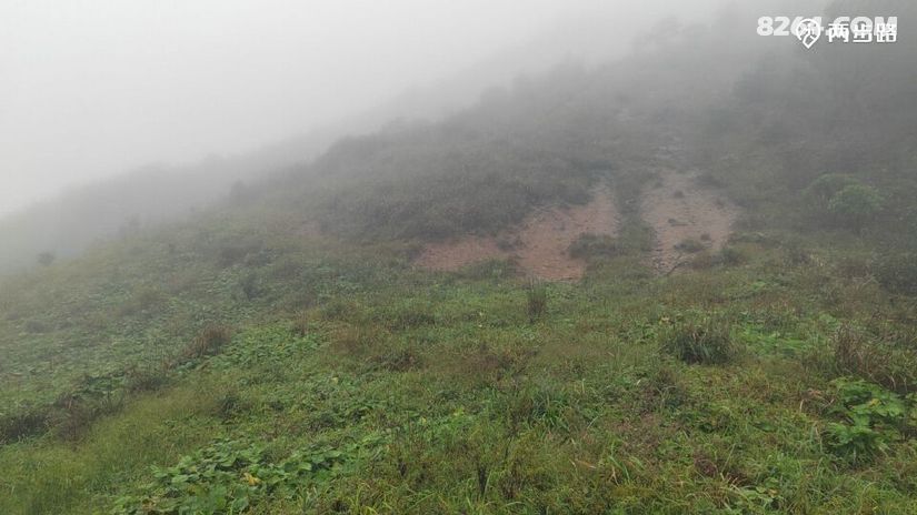 1791947805145 - 徒步登山 穿越攀岩 雪山步道 户外路线 在野 去没有天花板的地方
