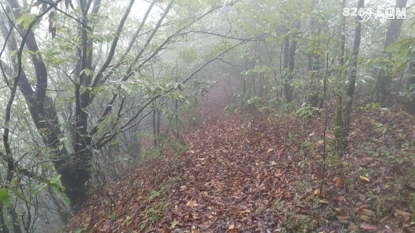 1791947991936 - 徒步登山 穿越攀岩 雪山步道 户外路线 在野 去没有天花板的地方