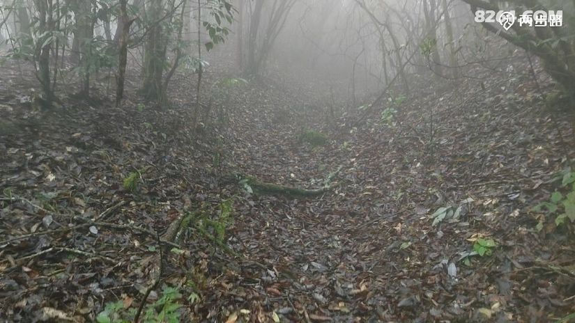 1791947992223 - 徒步登山 穿越攀岩 雪山步道 户外路线 在野 去没有天花板的地方