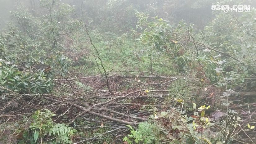 1791947992979 - 徒步登山 穿越攀岩 雪山步道 户外路线 在野 去没有天花板的地方