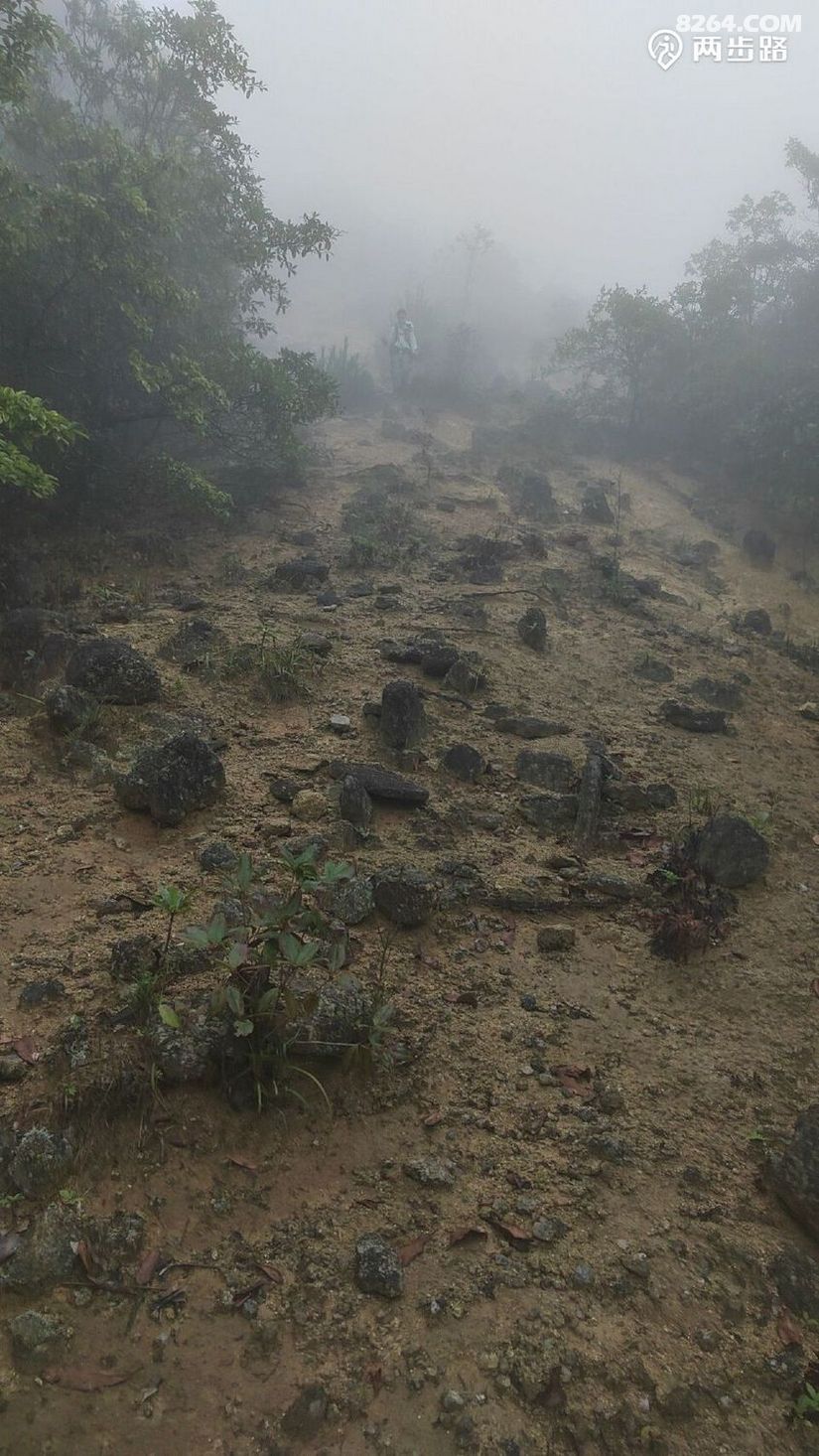 1791947994190 - 徒步登山 穿越攀岩 雪山步道 户外路线 在野 去没有天花板的地方
