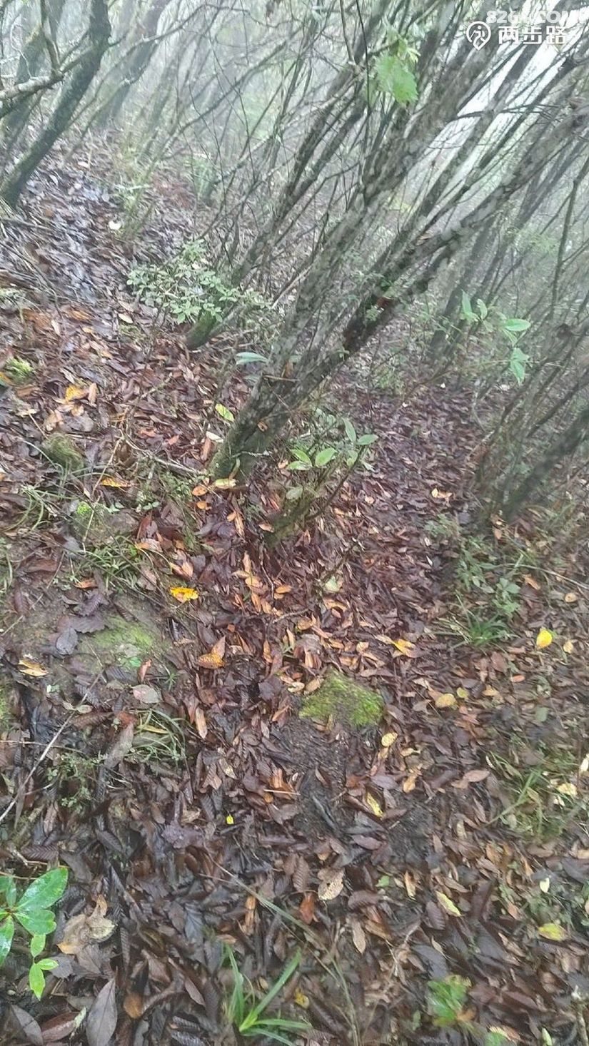 1791947998316 - 徒步登山 穿越攀岩 雪山步道 户外路线 在野 去没有天花板的地方