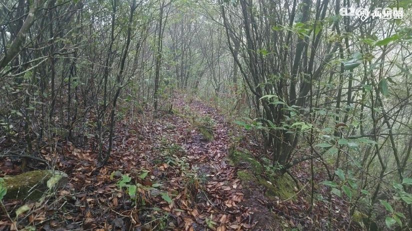 1791947999125 - 徒步登山 穿越攀岩 雪山步道 户外路线 在野 去没有天花板的地方