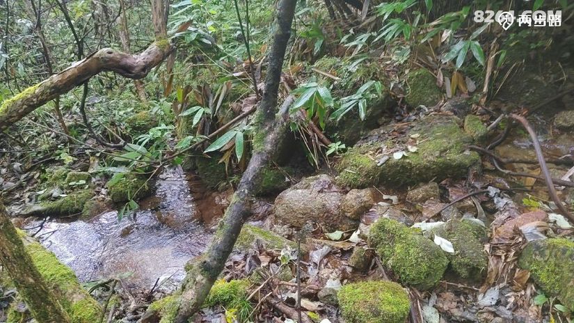 1791947999735 - 徒步登山 穿越攀岩 雪山步道 户外路线 在野 去没有天花板的地方