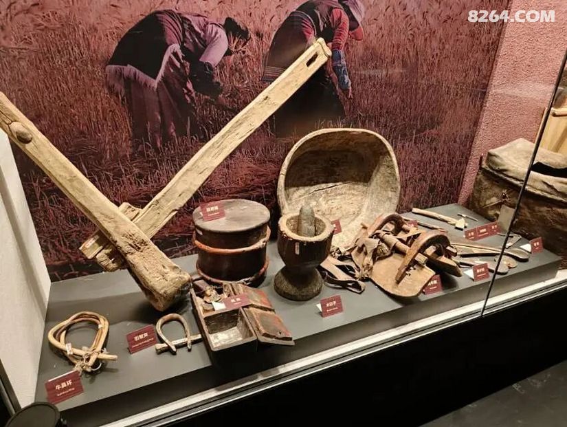1792040844538 - 旅行杂谈 文化历史 民俗人文 交通贴士 在野 去没有天花板的地方