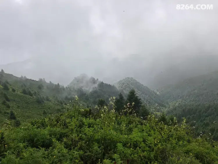 1792046596324 - 旅行杂谈 文化历史 民俗人文 交通贴士 在野 去没有天花板的地方
