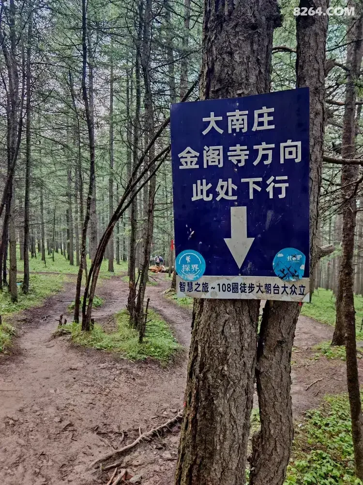 1792046605224 - 旅行杂谈 文化历史 民俗人文 交通贴士 在野 去没有天花板的地方