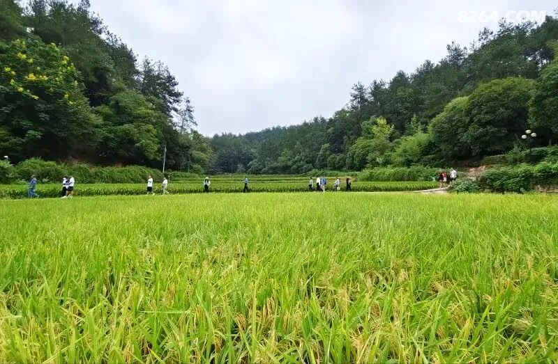 1792225934209 - 旅行杂谈 文化历史 民俗人文 交通贴士 在野 去没有天花板的地方