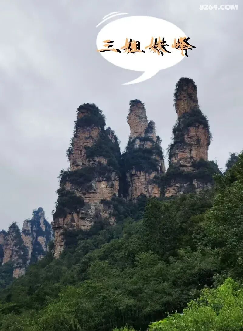 1792225966491 - 旅行杂谈 文化历史 民俗人文 交通贴士 在野 去没有天花板的地方