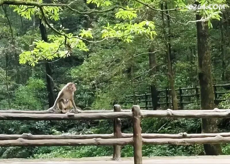 1792226051887 - 旅行杂谈 文化历史 民俗人文 交通贴士 在野 去没有天花板的地方