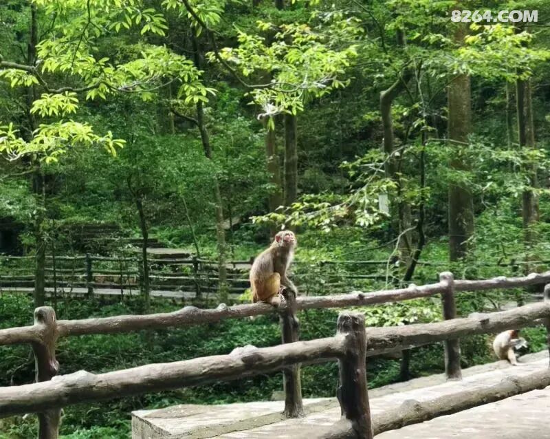 1792226052678 - 旅行杂谈 文化历史 民俗人文 交通贴士 在野 去没有天花板的地方