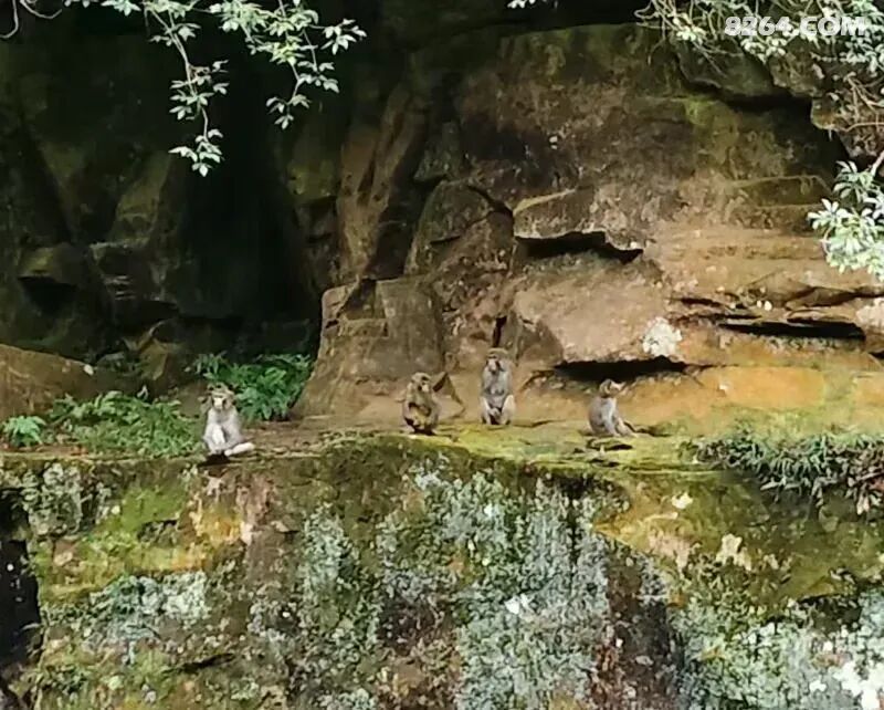 1792226052836 - 旅行杂谈 文化历史 民俗人文 交通贴士 在野 去没有天花板的地方