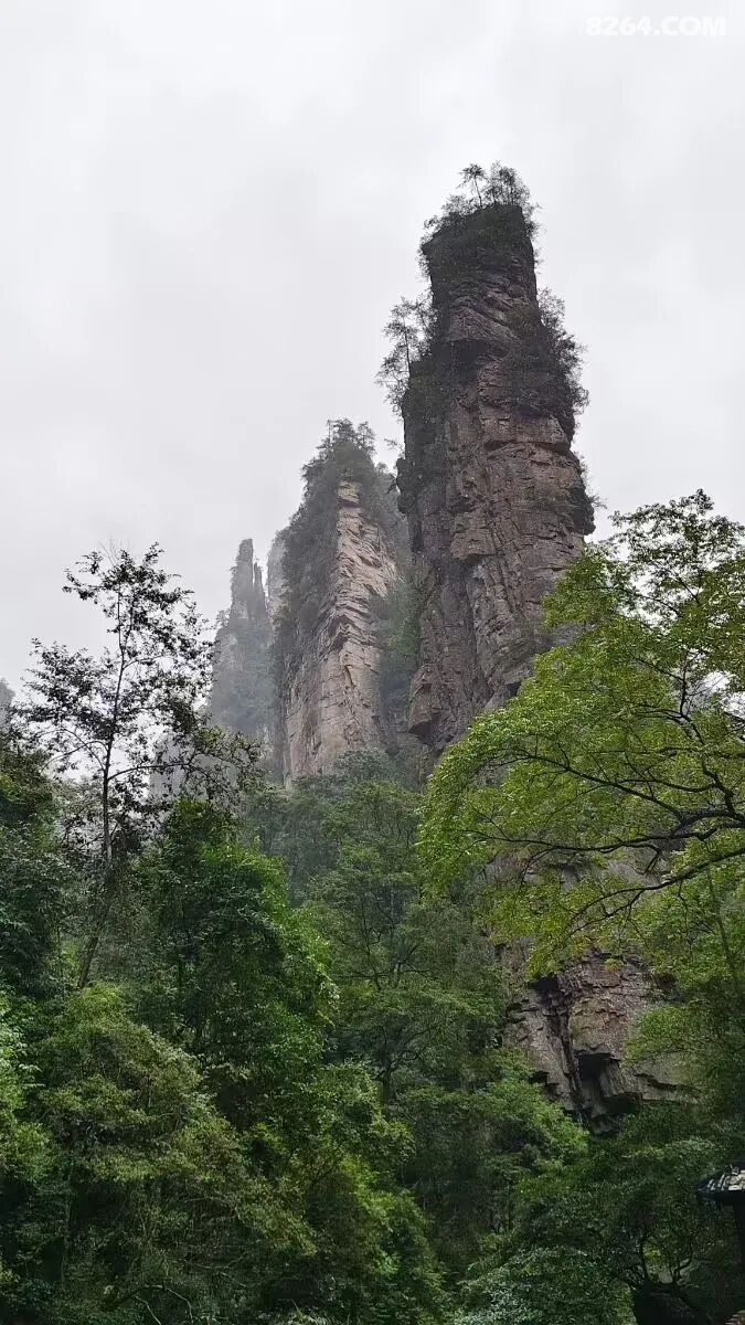 1792226061571 - 旅行杂谈 文化历史 民俗人文 交通贴士 在野 去没有天花板的地方