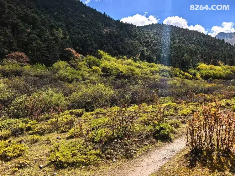 1792381318726 - 旅行杂谈 文化历史 民俗人文 交通贴士 在野 去没有天花板的地方