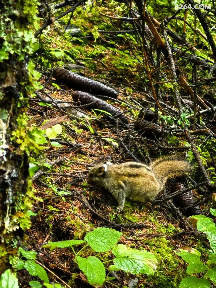 1792381339433 - 旅行杂谈 文化历史 民俗人文 交通贴士 在野 去没有天花板的地方