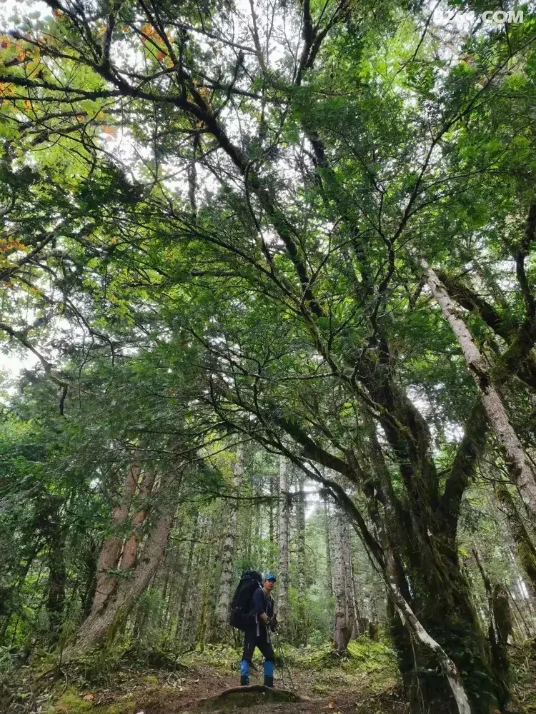 1792382097768 - 旅行杂谈 文化历史 民俗人文 交通贴士 在野 去没有天花板的地方