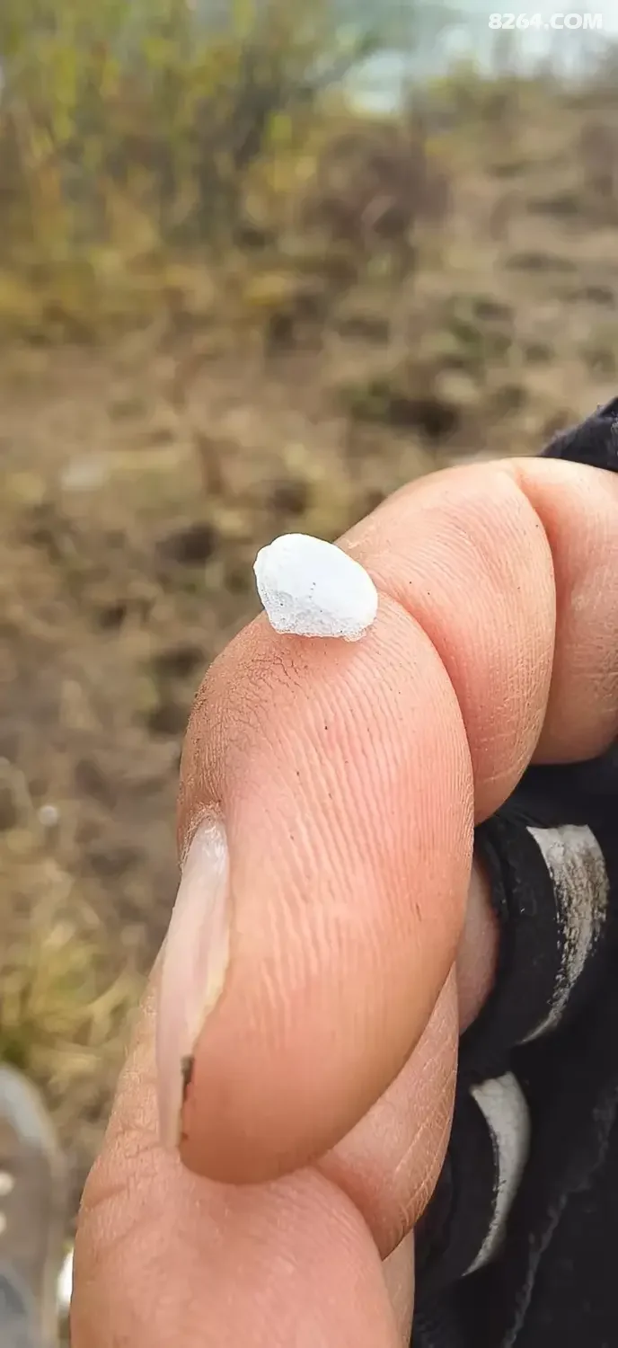 1792387172519 - 徒步登山 穿越攀岩 雪山步道 户外路线 在野 去没有天花板的地方