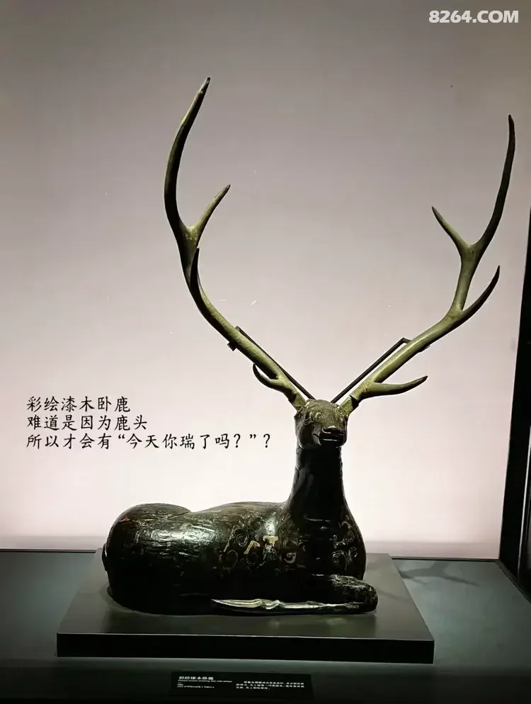 1792475478314 - 旅行杂谈 文化历史 民俗人文 交通贴士 在野 去没有天花板的地方
