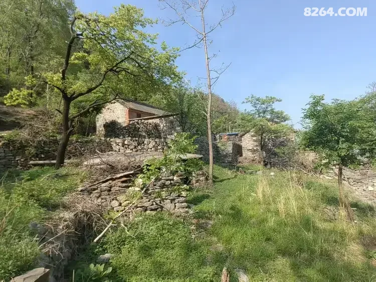 1792650312234 - 徒步登山 穿越攀岩 雪山步道 户外路线 在野 去没有天花板的地方