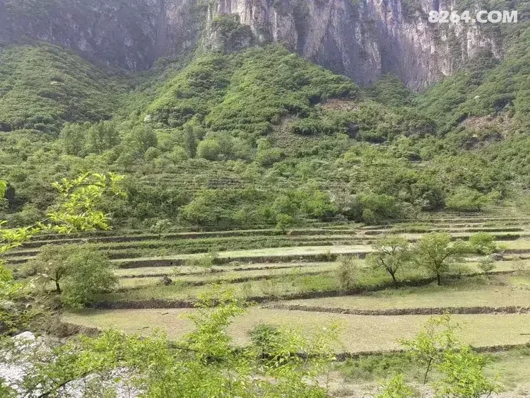 1792650344603 - 徒步登山 穿越攀岩 雪山步道 户外路线 在野 去没有天花板的地方