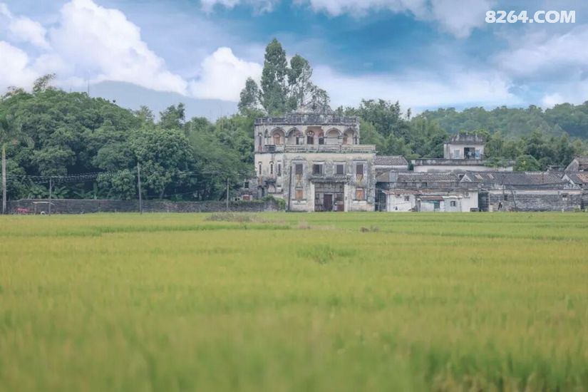 1792740005926 - 旅行杂谈 文化历史 民俗人文 交通贴士 在野 去没有天花板的地方