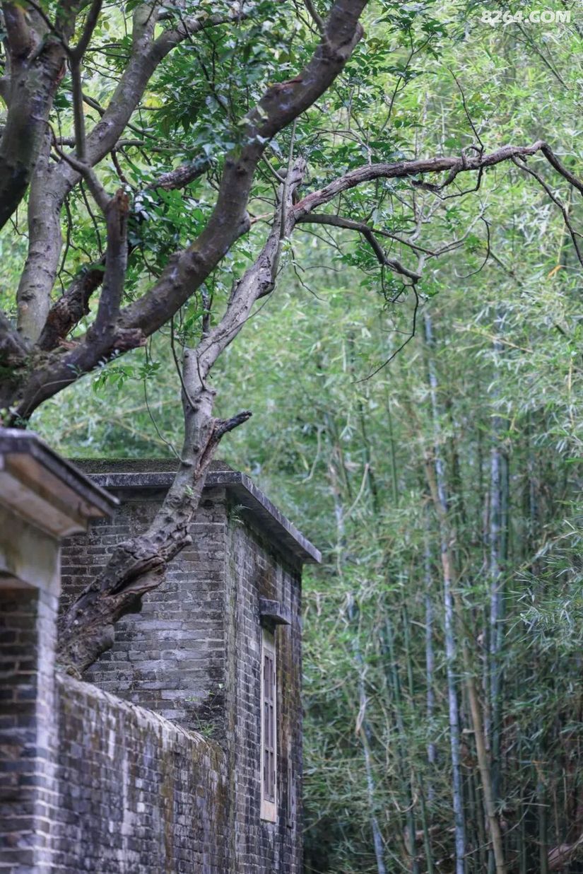 1792740062444 - 旅行杂谈 文化历史 民俗人文 交通贴士 在野 去没有天花板的地方