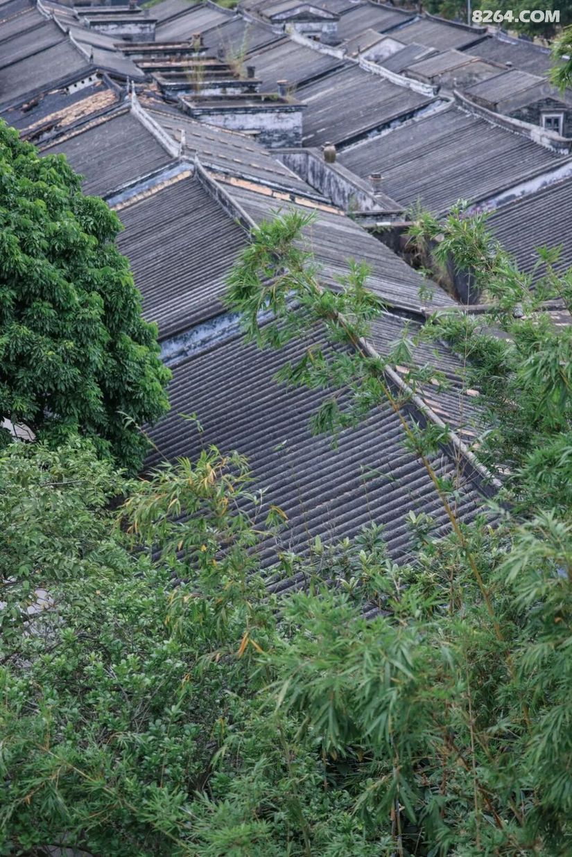 1792740073412 - 旅行杂谈 文化历史 民俗人文 交通贴士 在野 去没有天花板的地方
