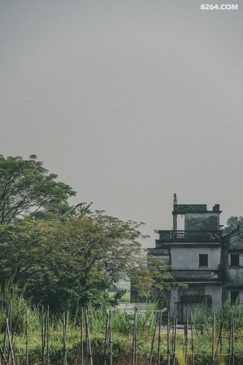 1792740092870 - 旅行杂谈 文化历史 民俗人文 交通贴士 在野 去没有天花板的地方