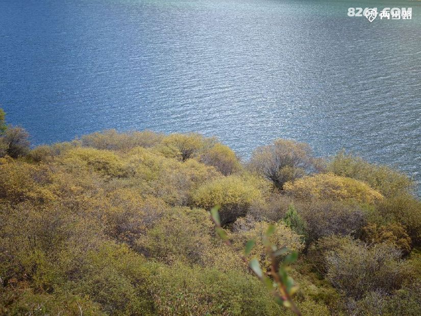 1792992006322 - 徒步登山 穿越攀岩 雪山步道 户外路线 在野 去没有天花板的地方
