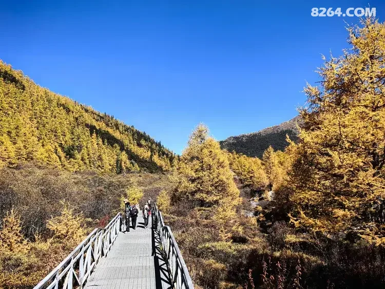 1793167934323 - 旅行杂谈 文化历史 民俗人文 交通贴士 在野 去没有天花板的地方